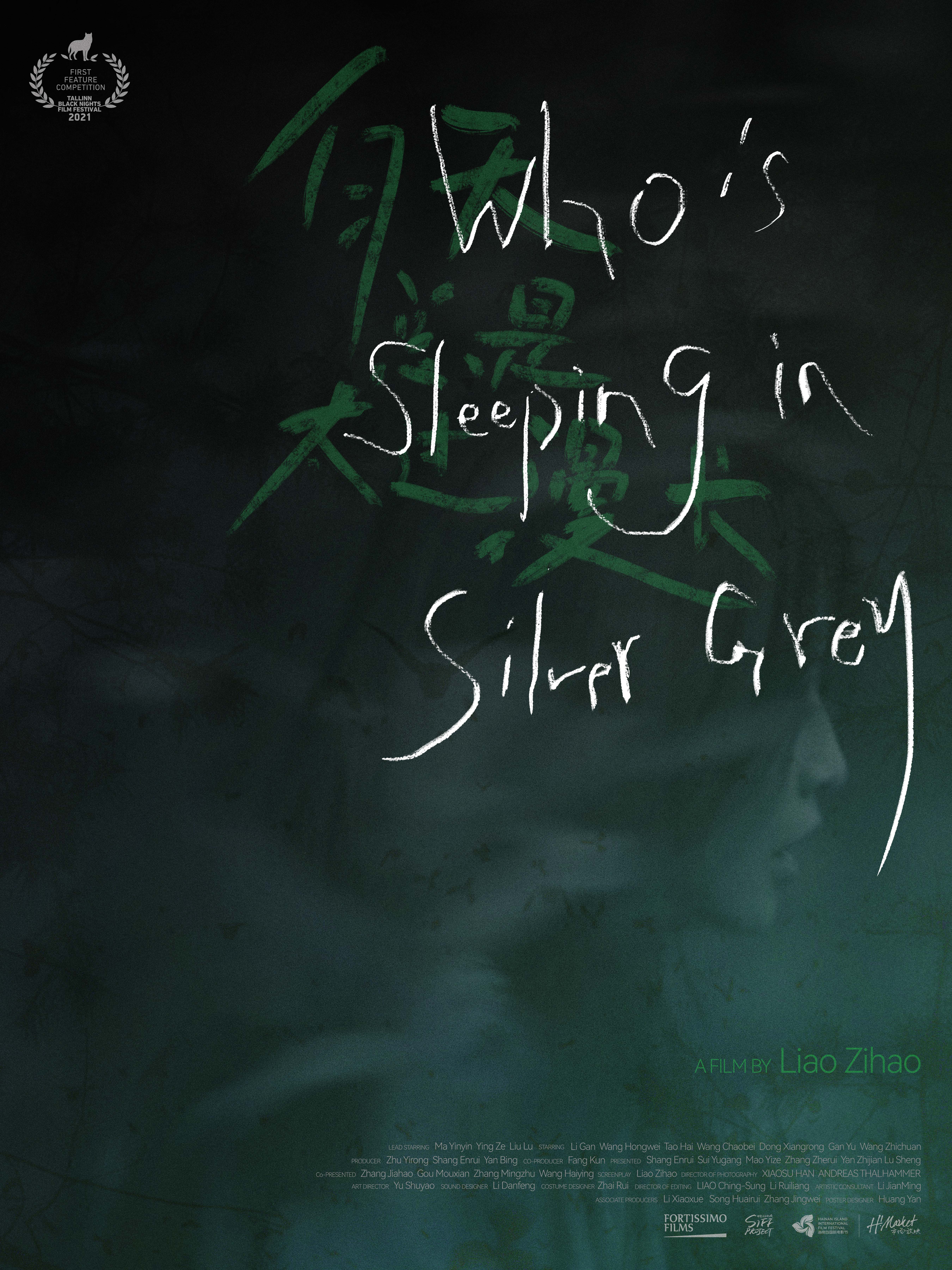 Who is Sleeping in Silver Grey (2021)