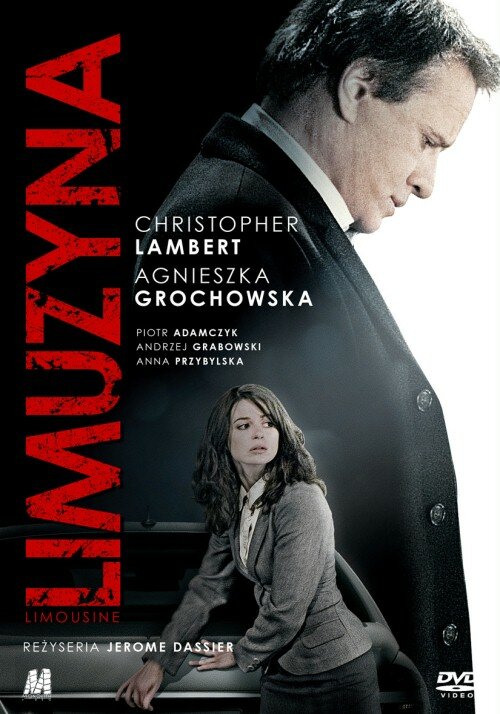 Лимузин (2008)