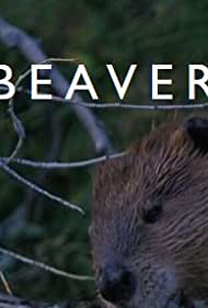 Dam Beavers (2009)